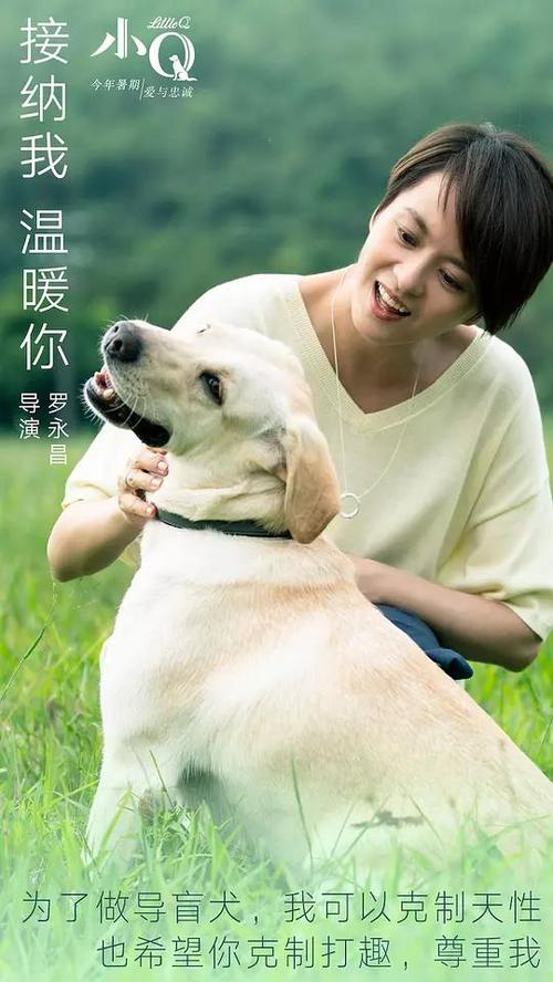 代办贝辛斯托克技术学院文凭毕业证